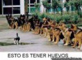 /album/con-ganas-de-reirte-xd/images-2-jpg/